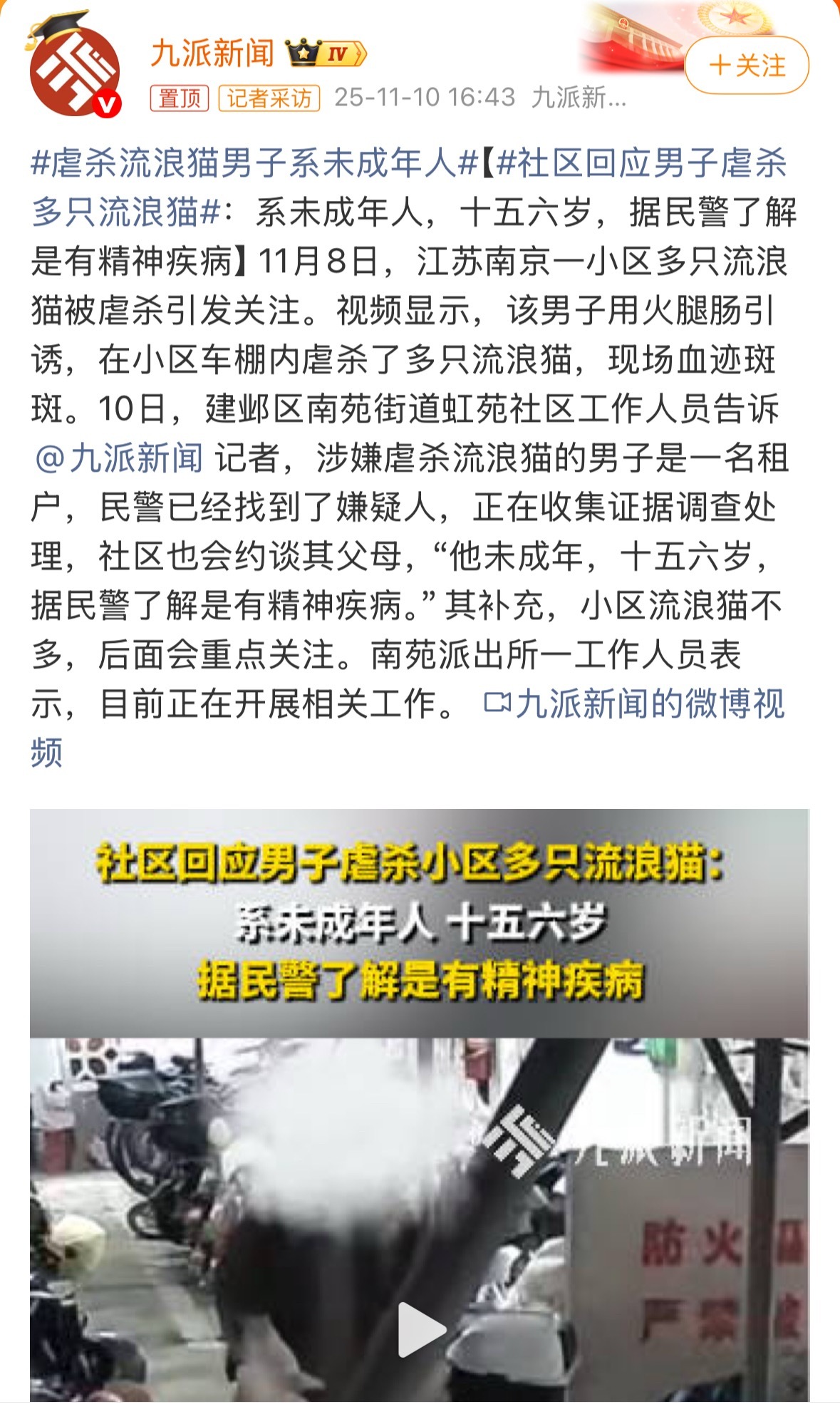 有精神病的情况下，还有预谋和手段的虐杀流浪猫，我已经不敢想象未来他长大后得是什么