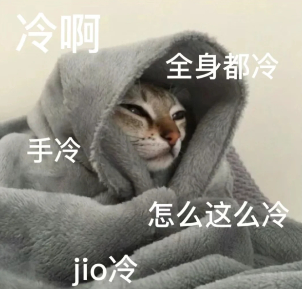 你们那边下雪了吗？北京下雪上热搜了，刚去窗边看了看，还没有下雪，但是天气好冷 