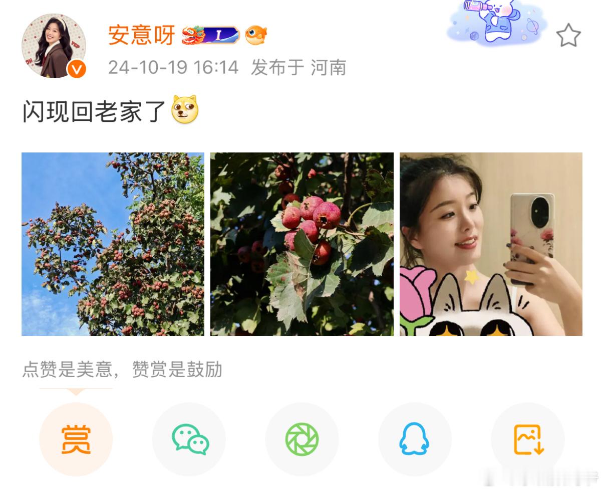 完了，评论个你微博我人设崩了[doge][doge][doge] ​​​