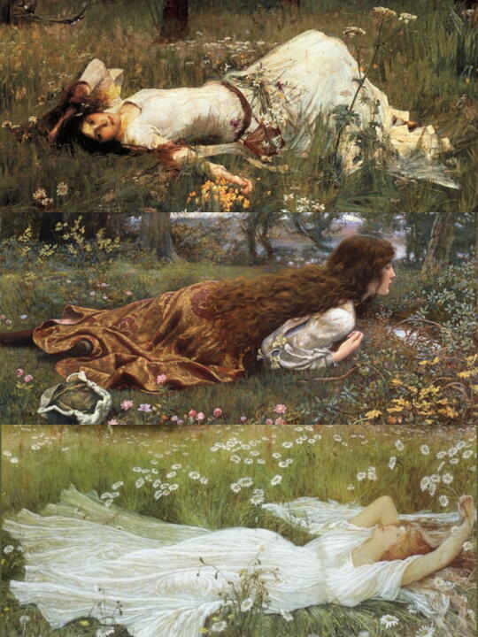 想要 不被树林、云朵与动物注意的假期