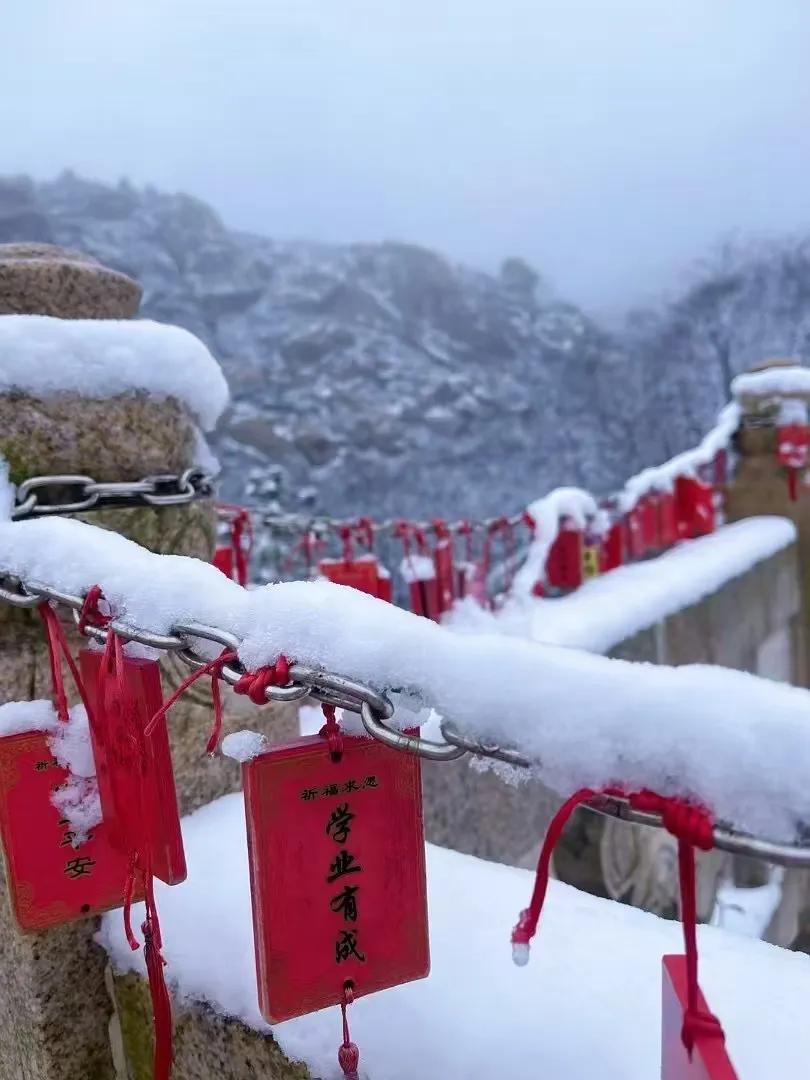 五绝•春雪
方方

一夜琼花白，天知我不知。
恨无冬腊月，流落在春时。

——