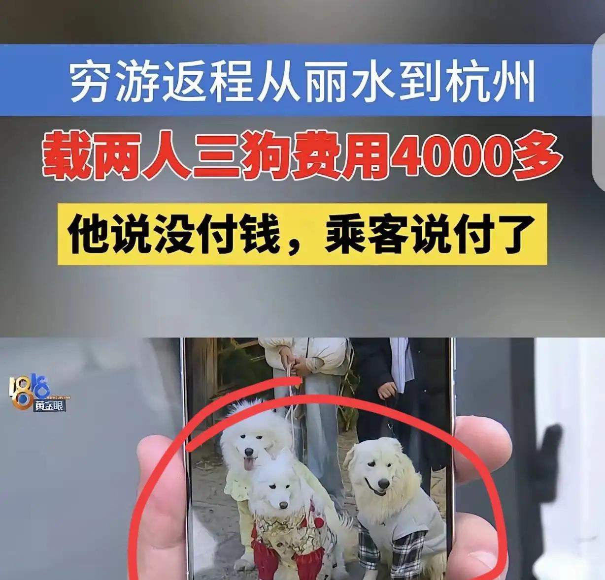 “玩不起！”浙江杭州，一男子开着面包车穷游西藏，为了省钱在丽江拉上2个女子，和她