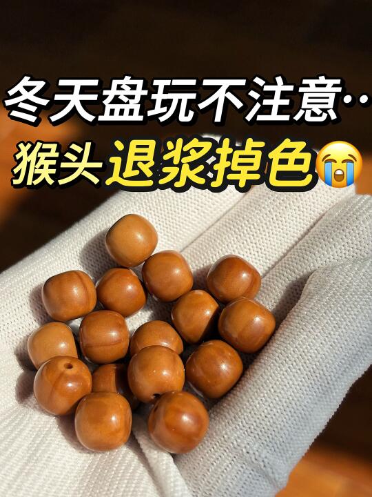 冬天盘猴头注意⚠️别再废了你的串‼️