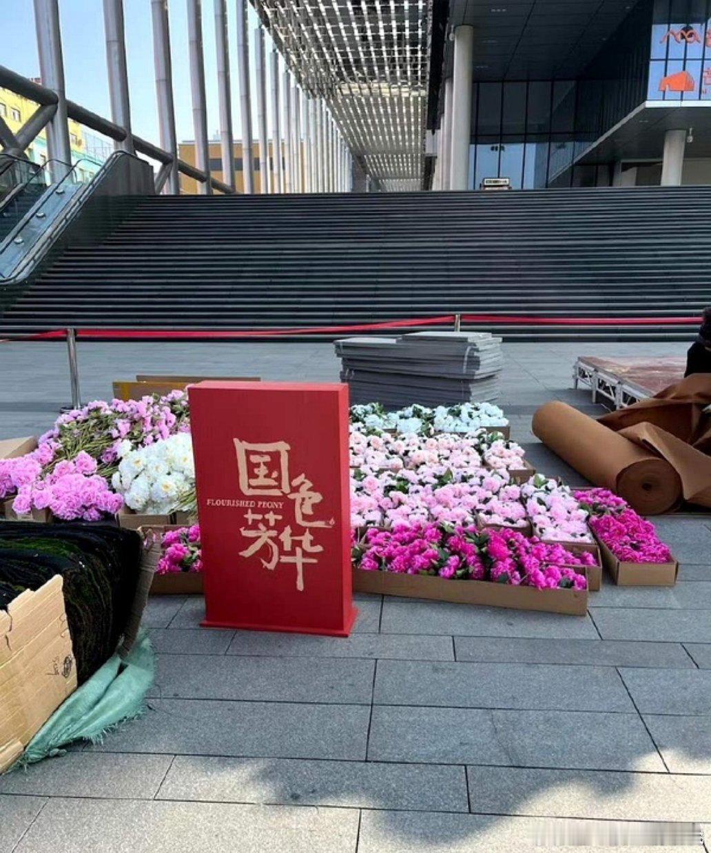 国色芳华排面  国色芳华播出排面 杨紫李现《国色芳华》开播排面🈶！ 