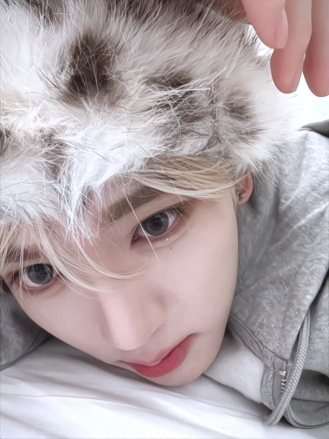 韩维辰 🐰韩维辰六颜一 你是始料不及的心动，是我唯恐不及的惊鸿🦋𝒴𝓸𝓊