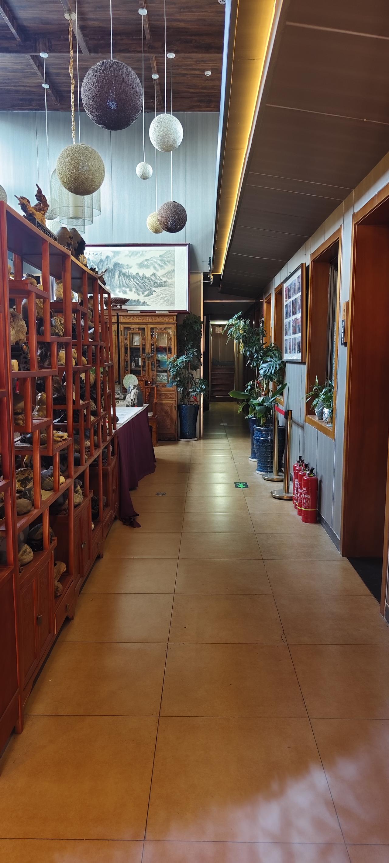 今早六点20起床去跑步，本以为天还没亮，出门却是太阳高照，马路上已是车来车往，川