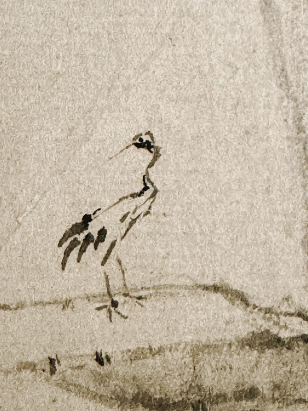 倪瓒画的鹤，给我看呆了