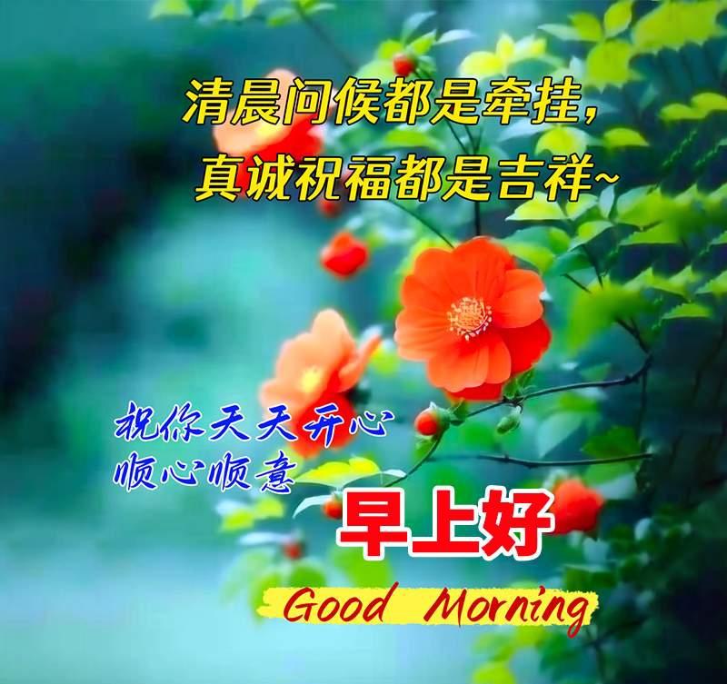 晨光已洒向窗台，新的一天正悄悄开启新的征程。愿你怀揣着心底的梦想，带着无畏的勇气