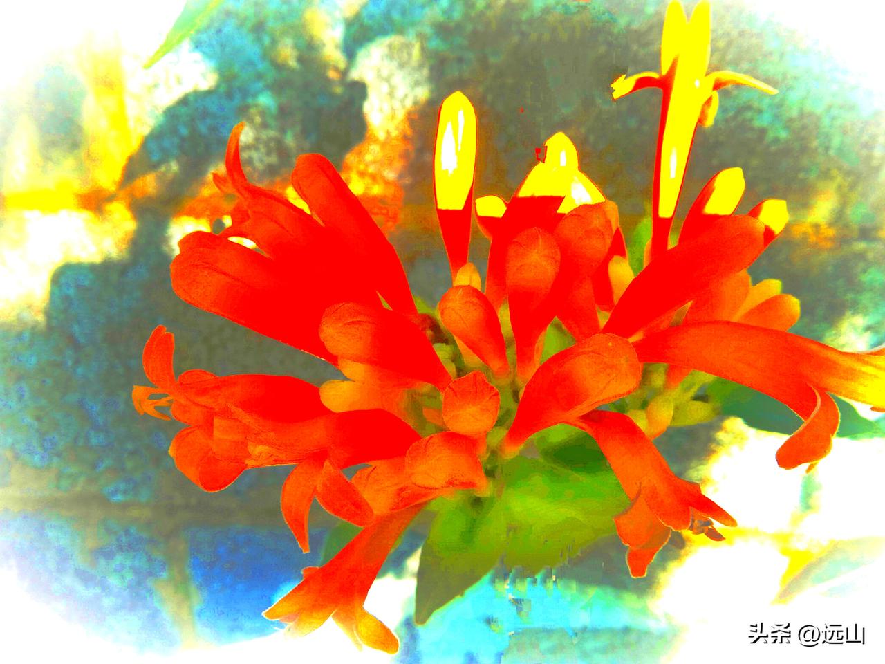 相传，山里有个仙女泉，泉水底下，住着一个美丽的仙女，仙女漂亮又善良。仙女家里有许