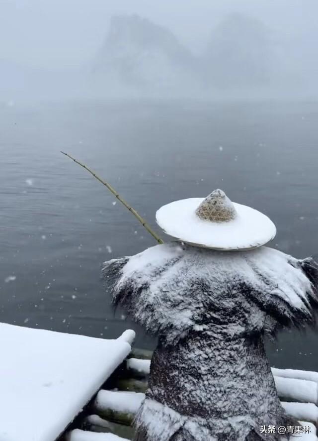 千山鸟飞绝，万径人踪灭。
孤舟蓑笠翁，独钓寒江雪。❄️