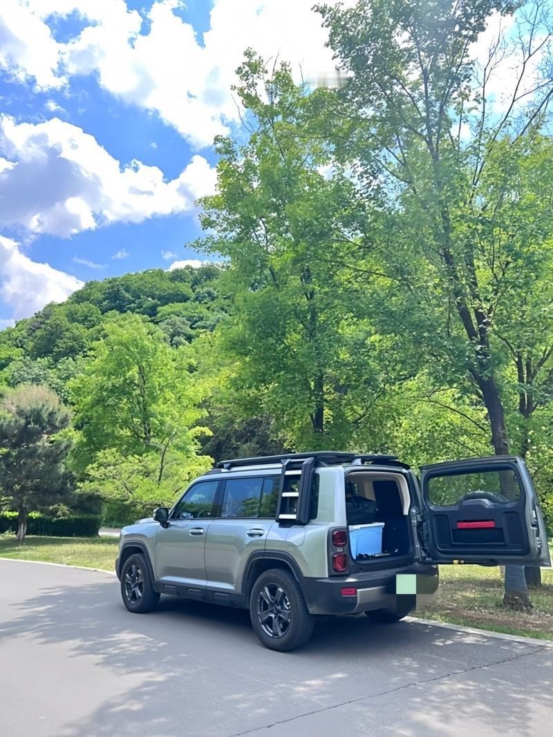 】

哈弗猛龙PHEV 2024款1.5T Hi4 145km Pro

裸车价
