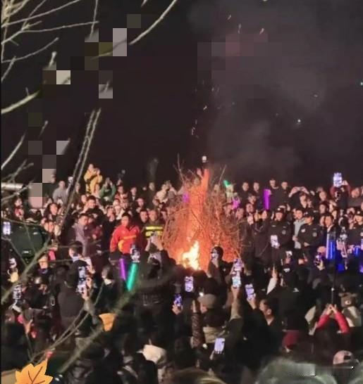 一位在公安局担任政委的学生告诉我说，重庆合川呆呆妹最关键，最厉害同时也是最成功的