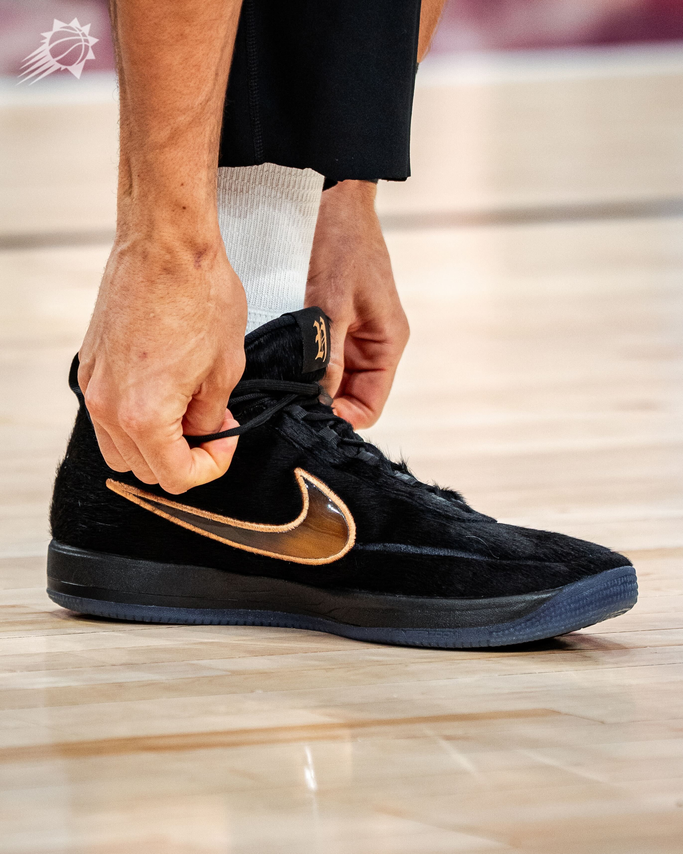 Book 2: Haven and Hector 🐶🐶菲尼克斯太阳 ｜旭日东