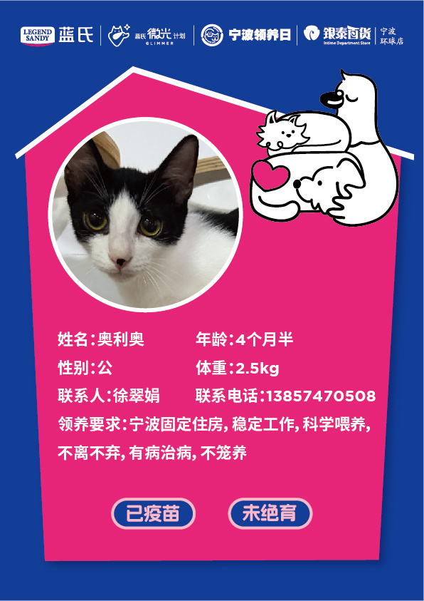 宁波领养日10周年宠物嘉年华上线 邀你赴约！10月17日-18日📍宁波环球银泰