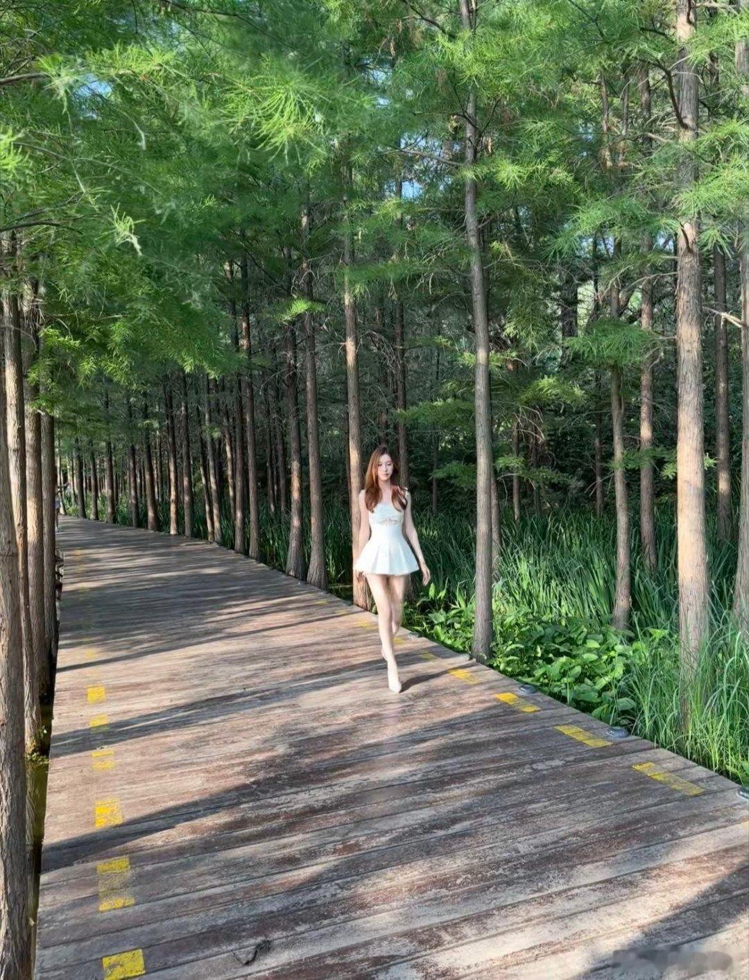 这是什么树怎么这么直？ ​​​