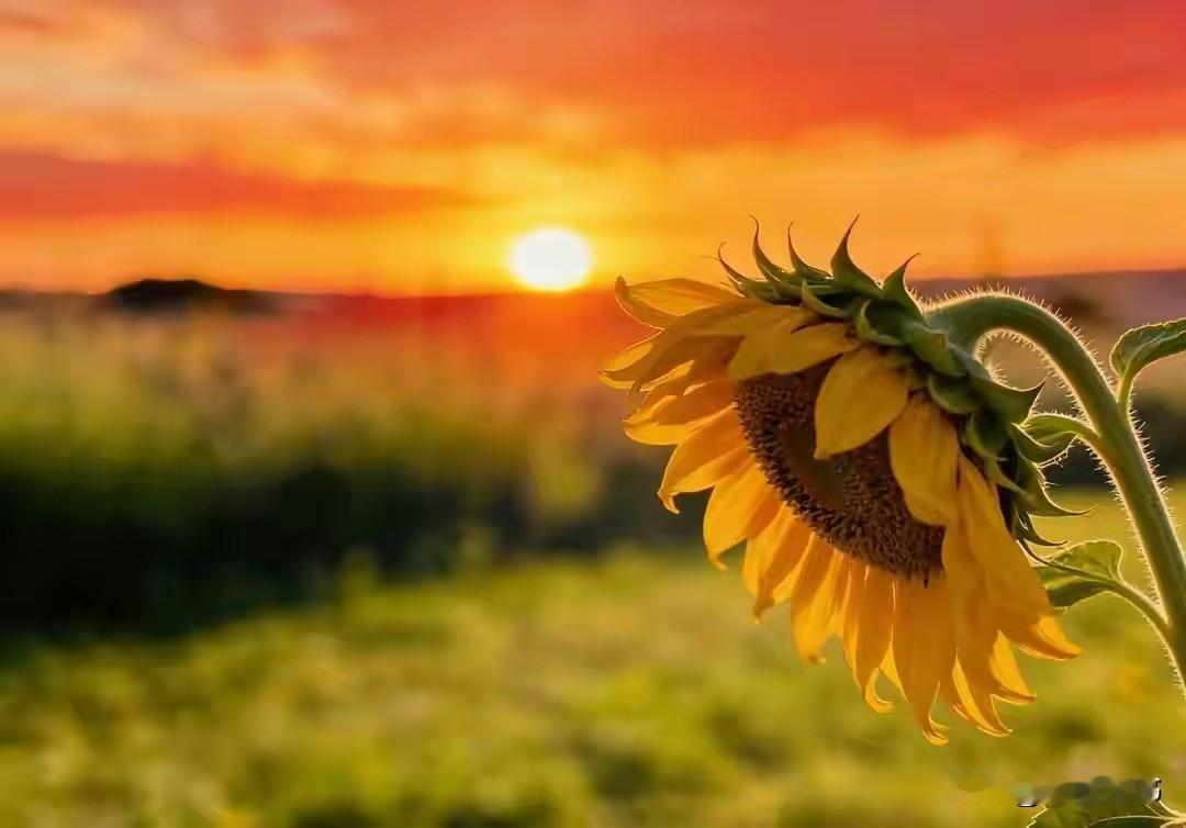 对伴侣冷冰冰的人，最是薄情
 
真的特别瞧不起一种人：对外人热情似火，对自己的伴