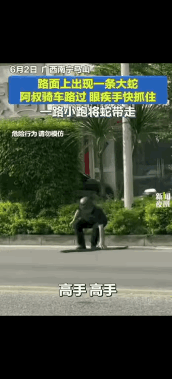 大哥看了一眼，
晚上的蛇羹都想好了。