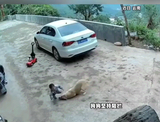 云南，一名幼童在自家院子玩耍，期间他就想独自跑出院子，而门外就是马路，孩子一旦出