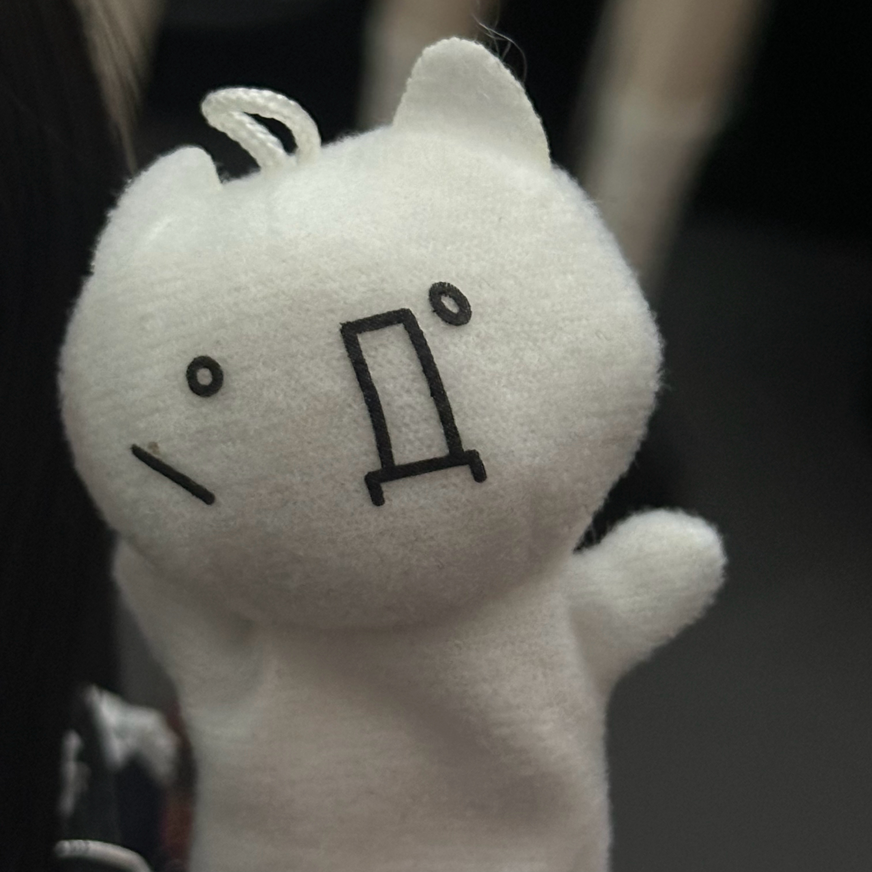 女子の高中生 