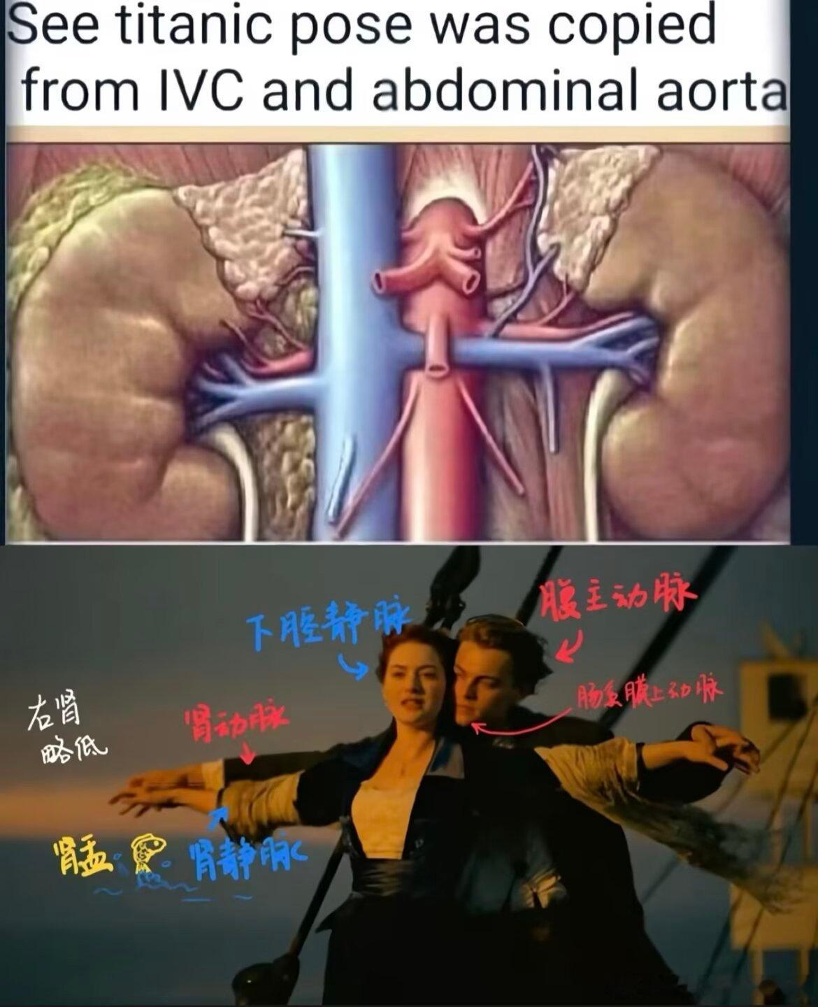 3599。。。。。。人体积累 