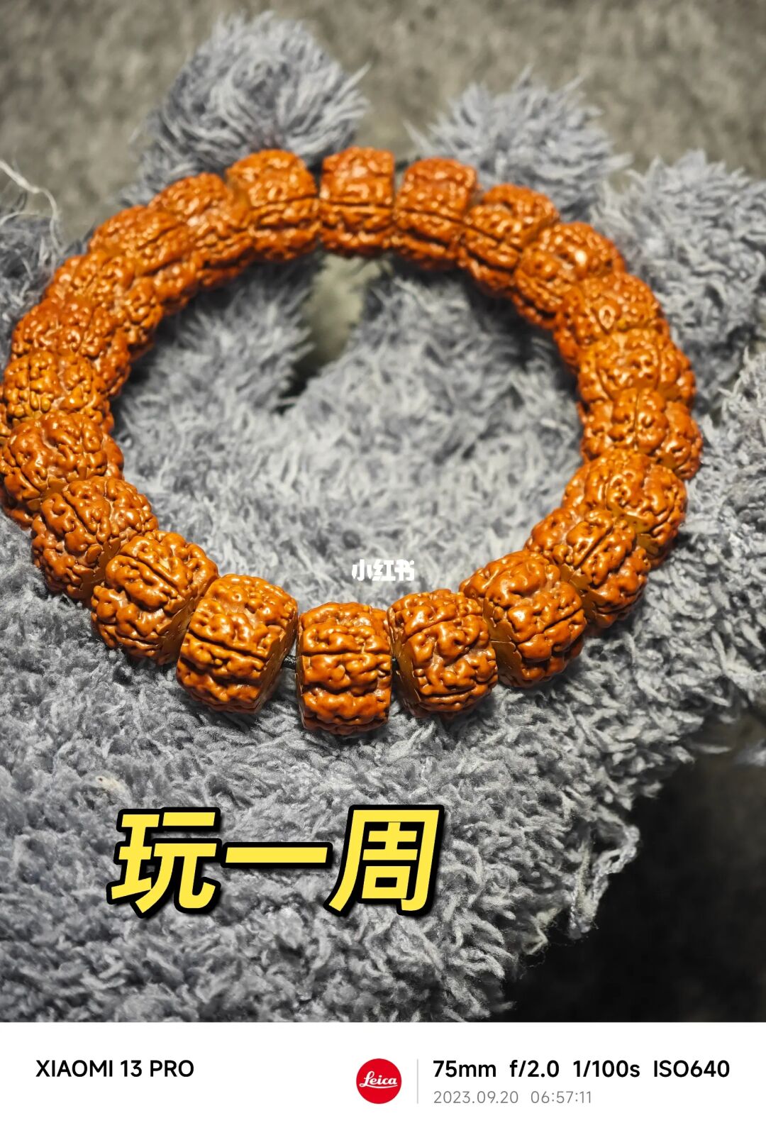 NO.262 雷法！龙切！金刚伏魔乾坤圈！敕！