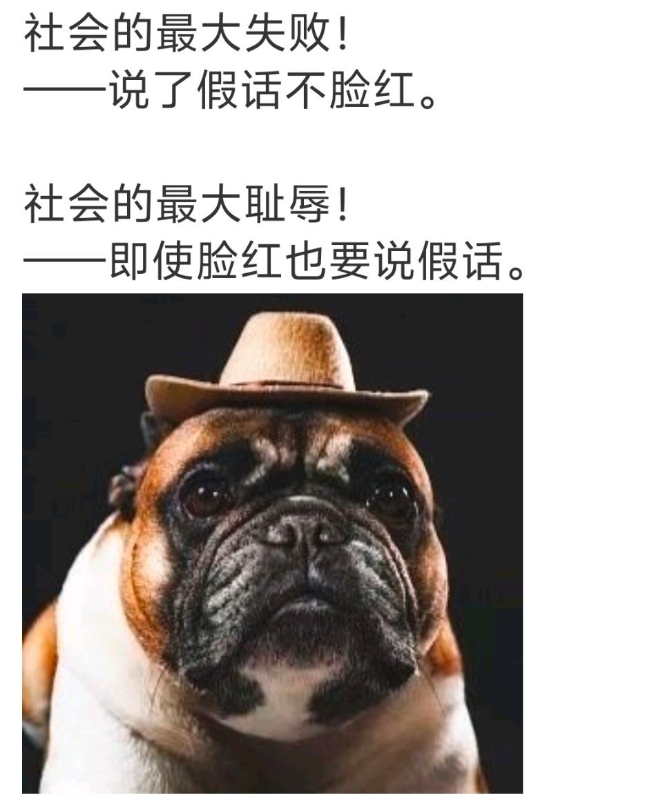 自愿护学岗为何让老人孩子站路中央 都懒得评价，给大家科普个道理！