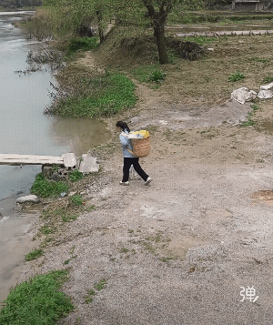 这么宽的河面，修一座桥多好![祈祷]