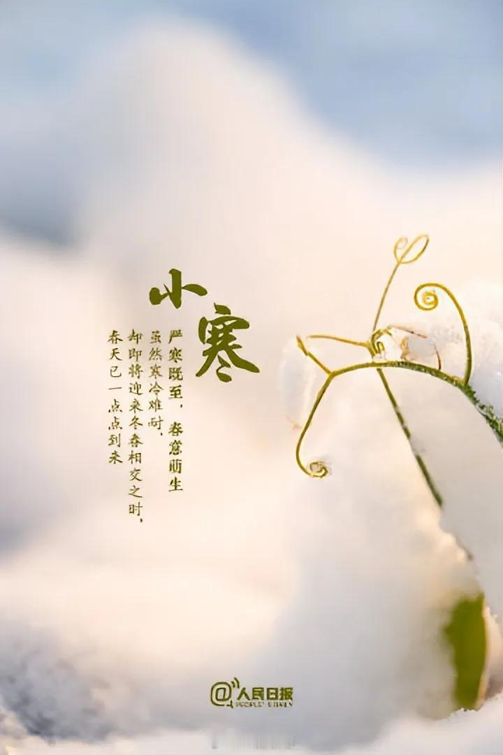 小寒 （摘录）
东风吹雨小寒生。雉始鸣，雁北乡。九寒隆冬梅妆腊，对节物、只堪伤。