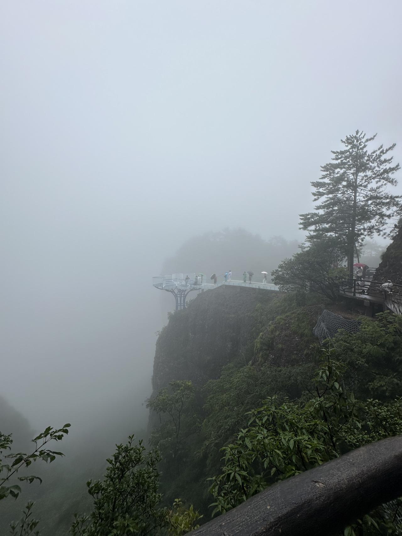 半年前某大师突然在微信上要加我为好友，多年前他拉黑了我，莫名其妙的事情我内心里并