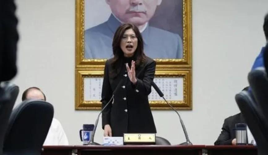 郑丽文一行访陆行程花费480万新台币，陷入报销难，左右被挡之时，张亚中校长出来了