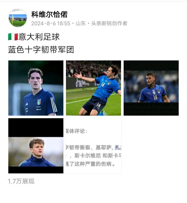 🇮🇹
蓝色十字韧带军团再添一员大将
伤的全是有实力的球员
悲催的意大利球员