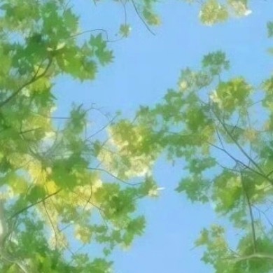 愿我们个个是阳光少年，活泼、开朗、自信、向上。乐于助人，温暖别人，快乐自己；追逐