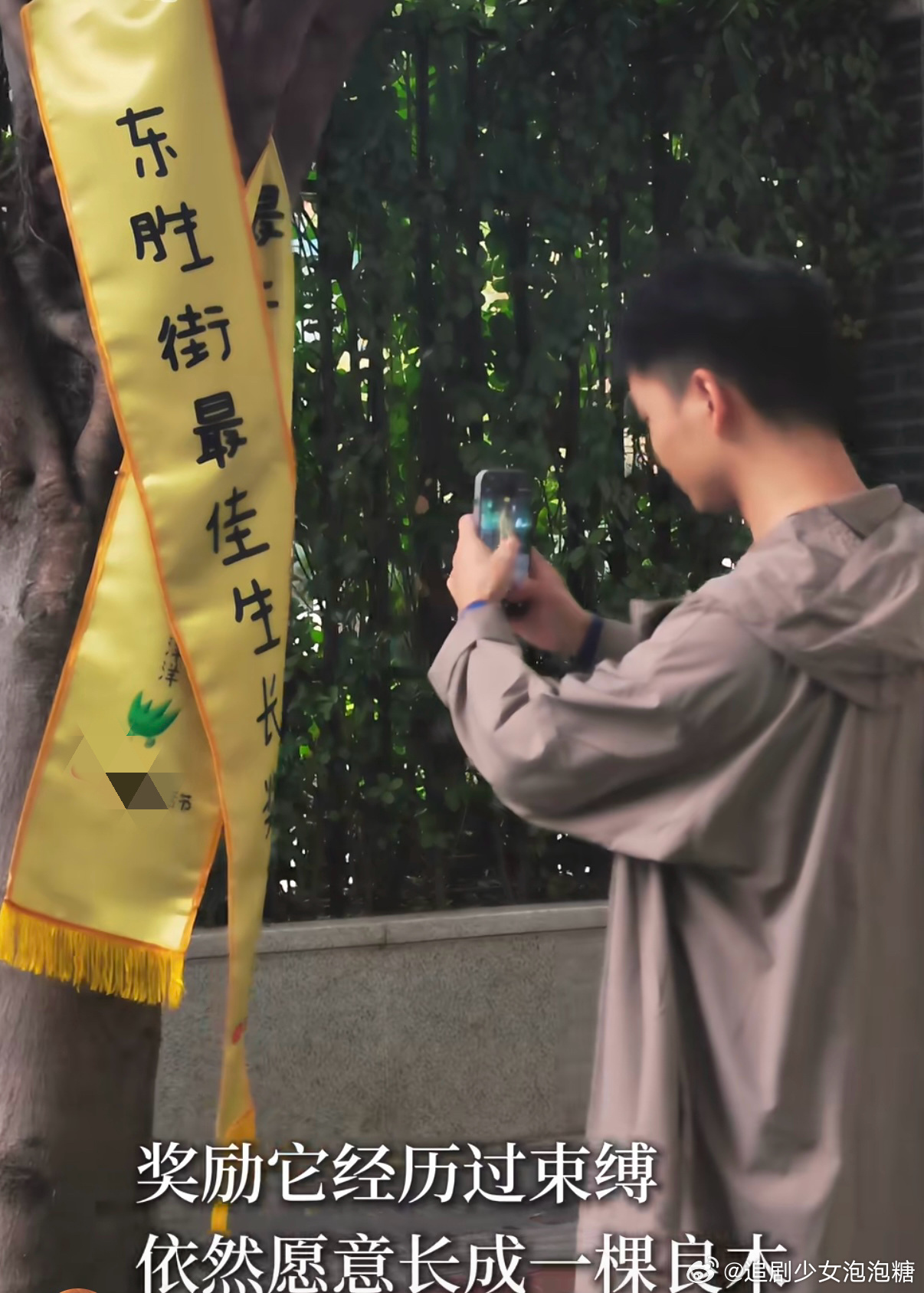 成都马路边的大树颁奖礼 把奖项颁给自然里的生灵，成都用一场街边仪式告诉大家，万物