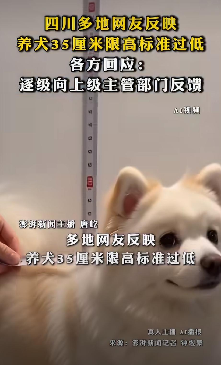 四川多地反映养犬限高35厘米标准太严，你知道吗？广安、仁寿、德阳网友都提出意见，