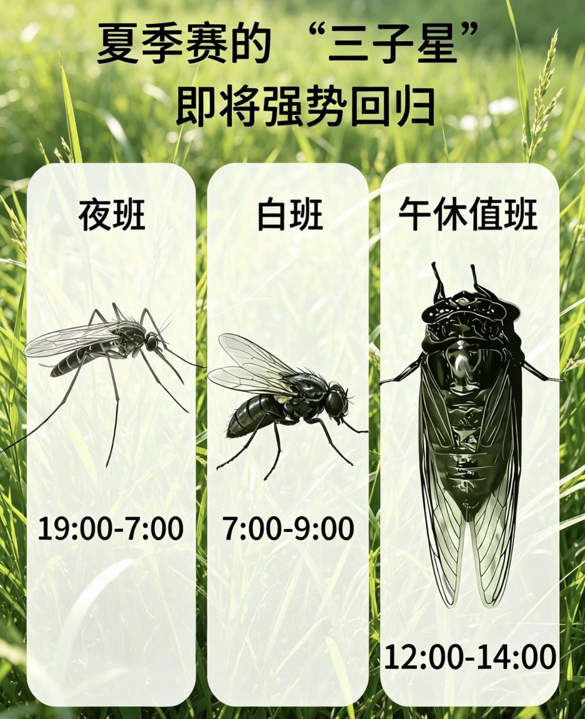 夏季三巨头已经来了 