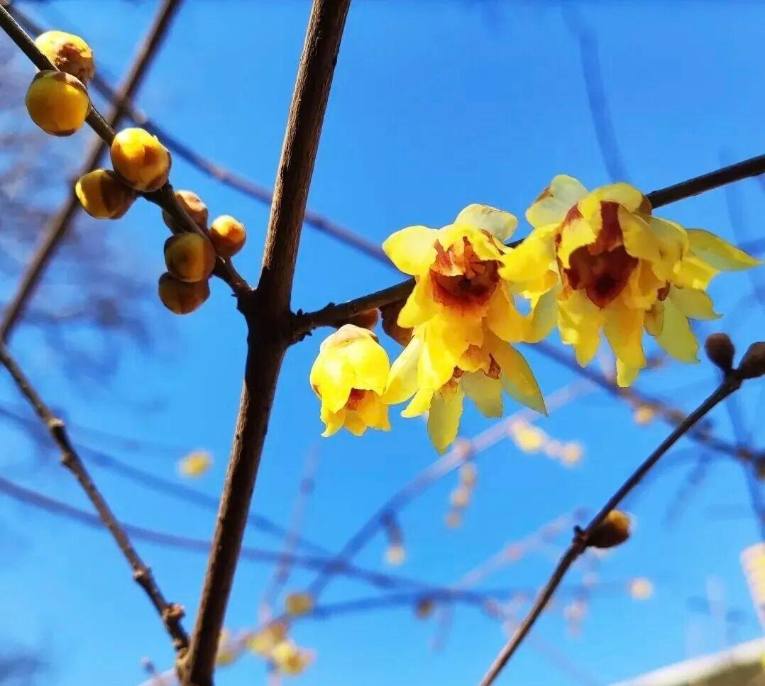 如何看待有些老人不愿与子女同住的心理两代人的观念不一样，生活习惯也不一样，作息时
