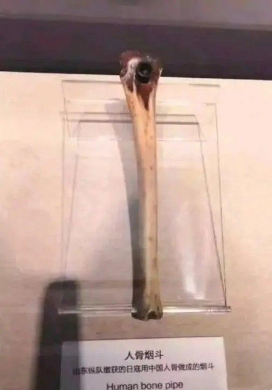 这张缴获的烟斗竟由我国孩童腿骨制成？侵华日寇的残暴刷新底线。网友怒斥：“禽兽不如