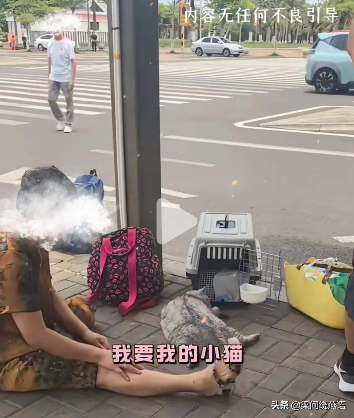 雪球走了，最放不下的不是别人，而是那个把猫当成唯一亲人的阿姨；最让人痛心的不是猫