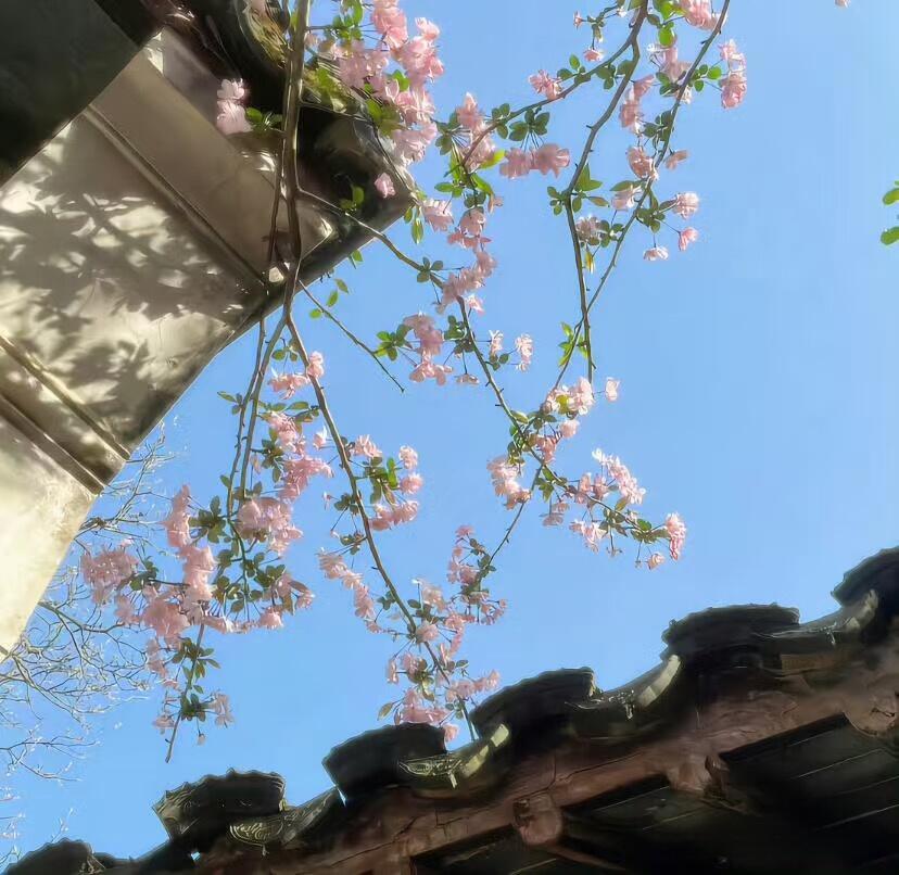 三餐茶饭，四季衣裳 共同构成了一个叫家的地方 。人因食物而聚， 人不散，家就在 