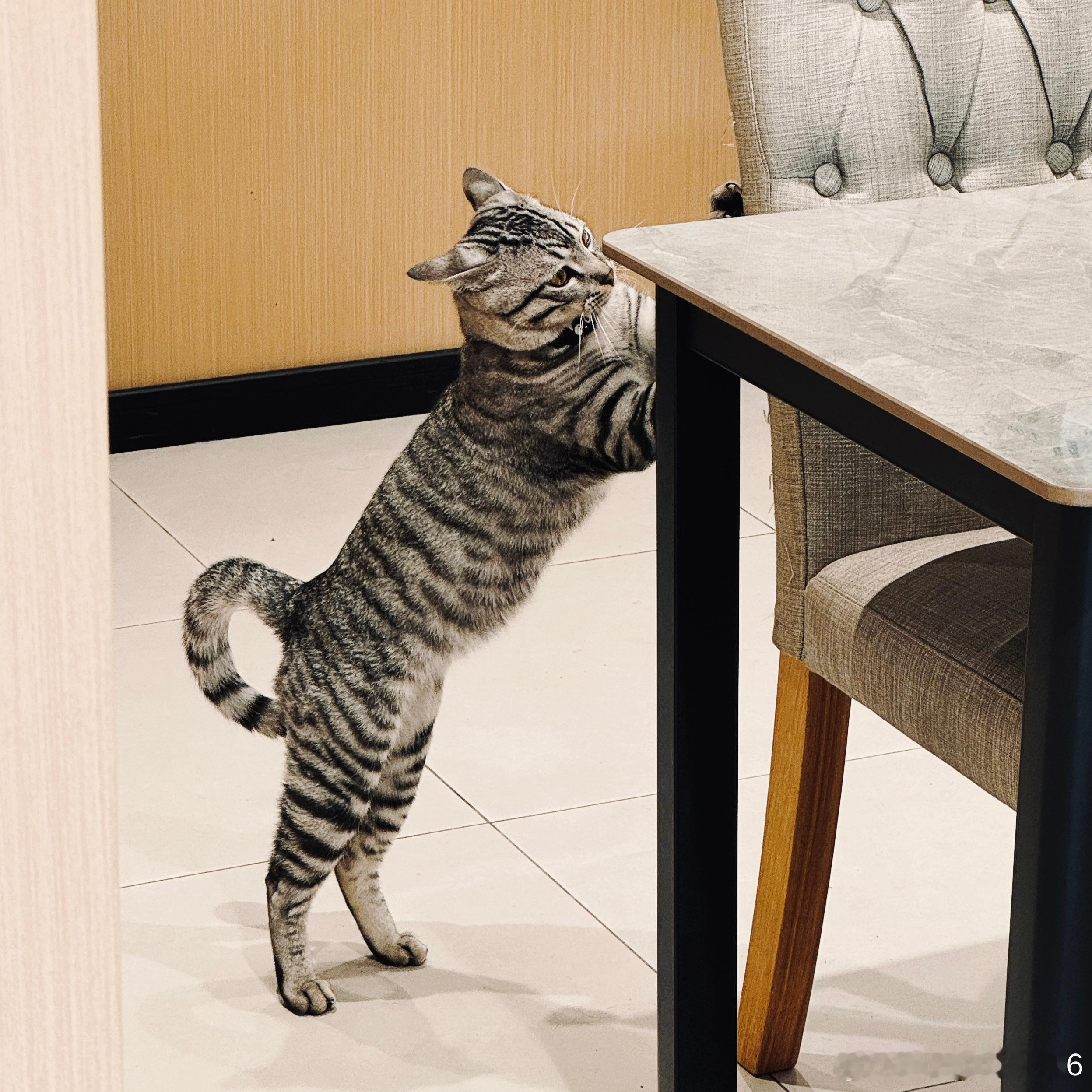 慢節奏. 台山·上川岛