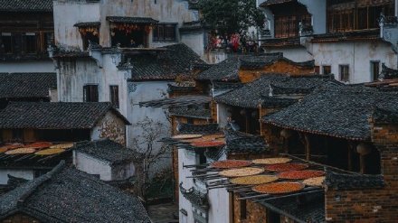 或许总要彻彻底底的绝望一次，才能重新再活一次。——余华