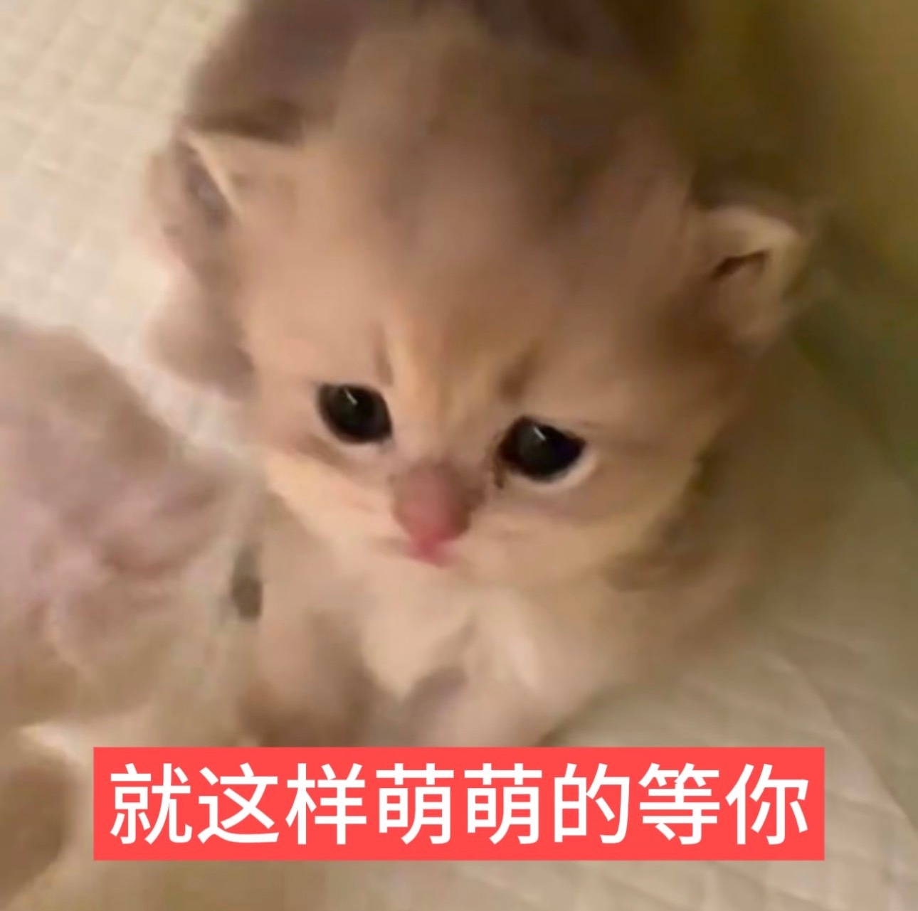 三个日常任务👊🏻大家都来做做1️⃣签到发帖超like所有人先去王一博 签到，