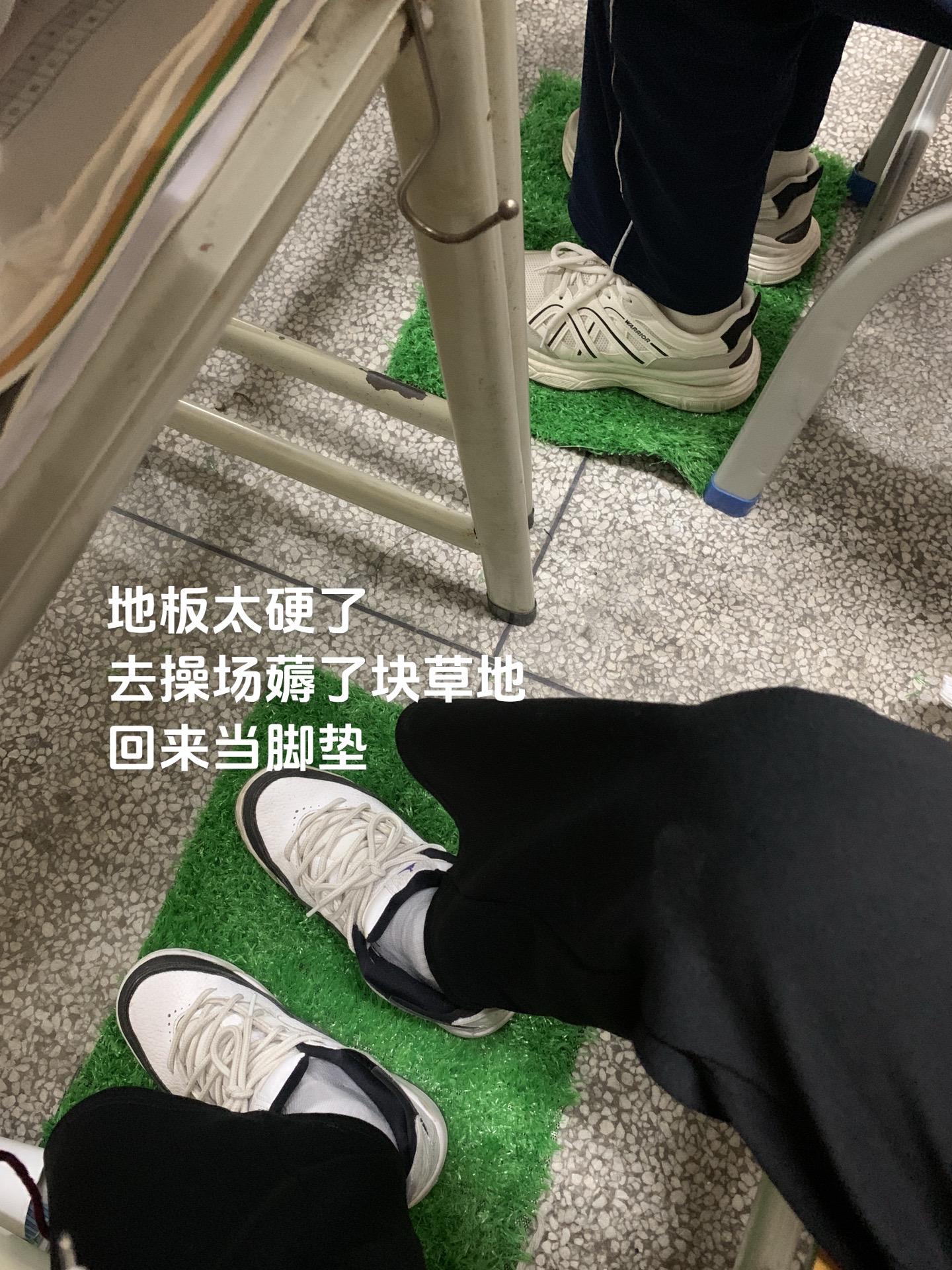 去操场薅了块草地回来当脚垫
