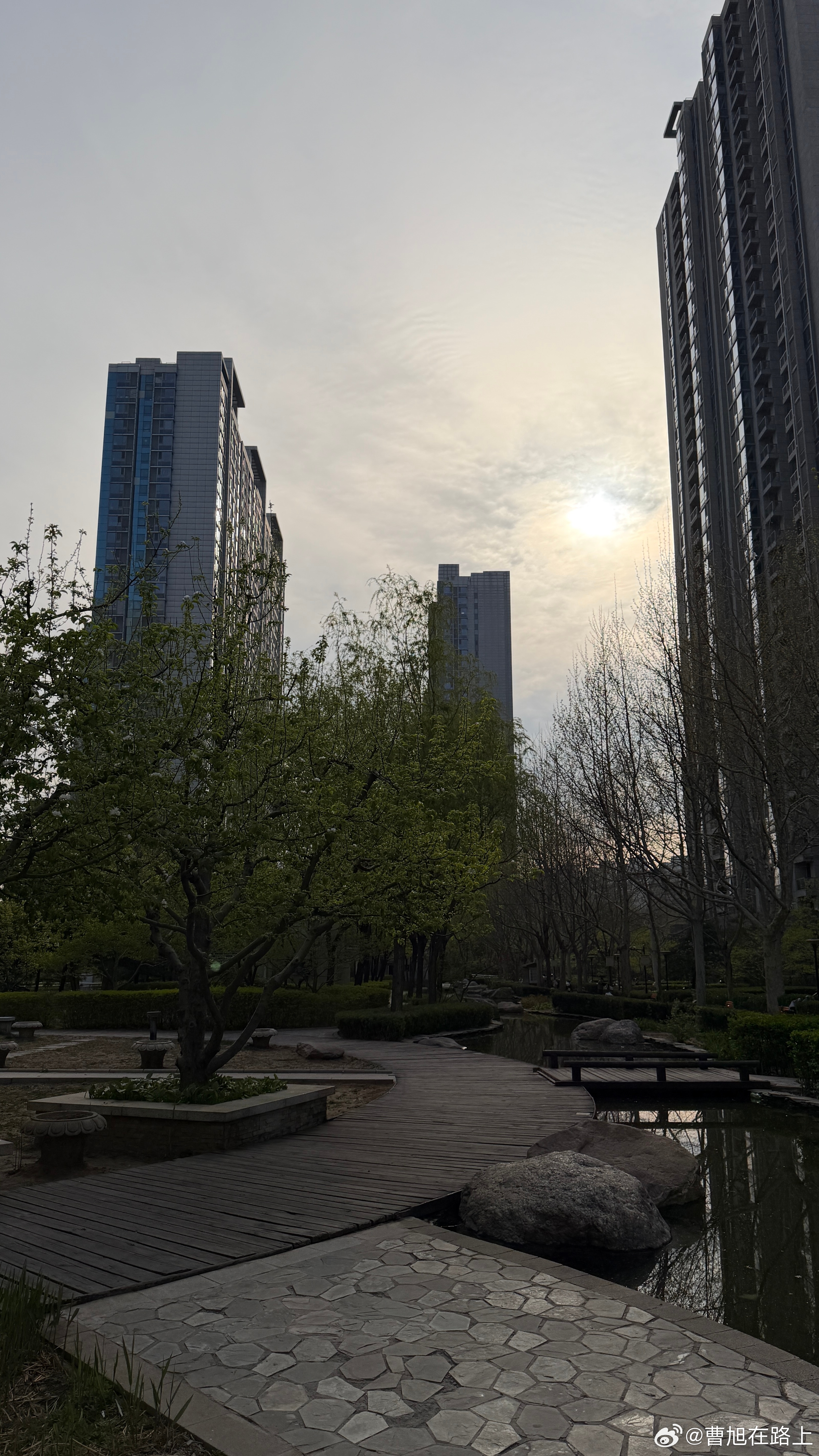 晓色云开，春随人意，骤雨才过还晴这大概是北方春季最美的模样了春天