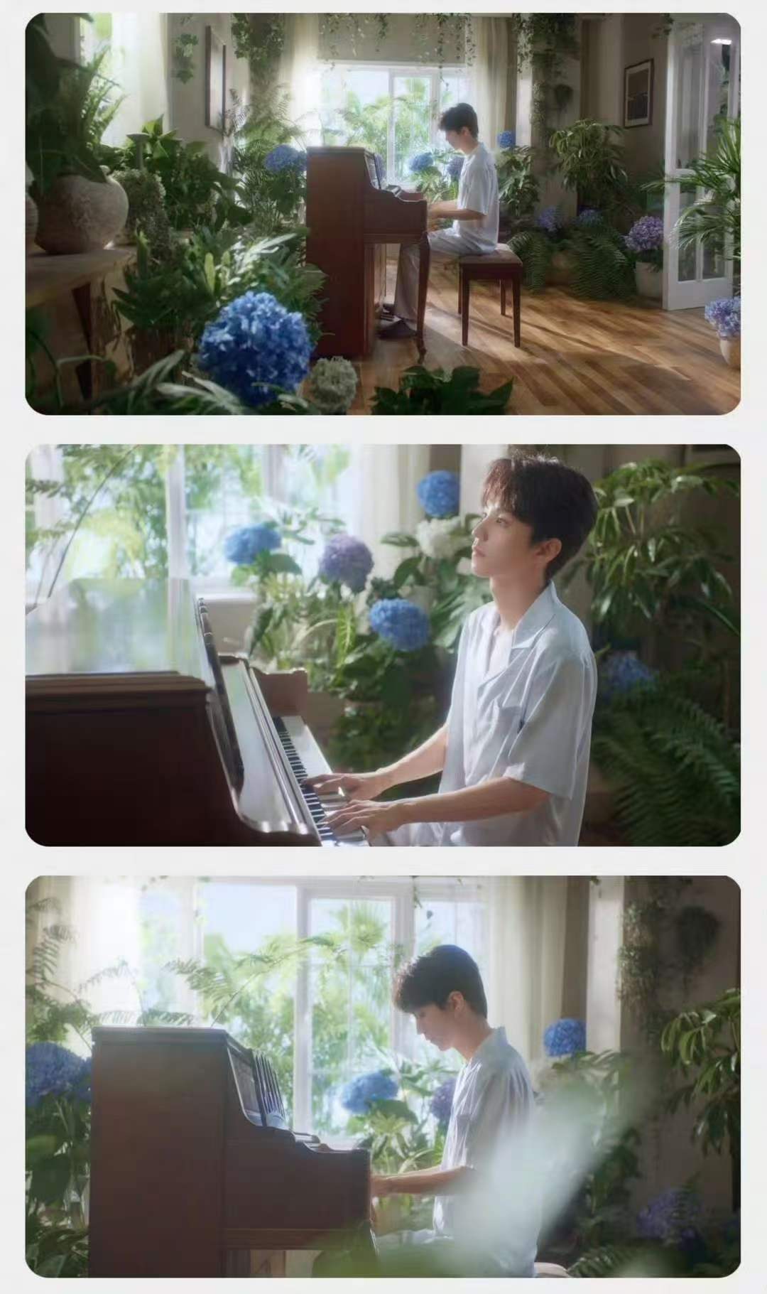 王俊凯浪莎开屏王俊凯浪莎广告 好好看 ​​​