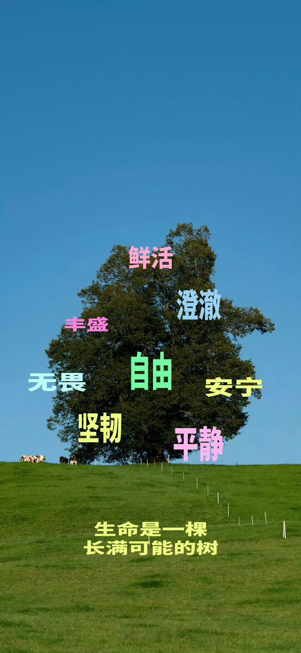 黄金九月，好运如期。💛 ​​​