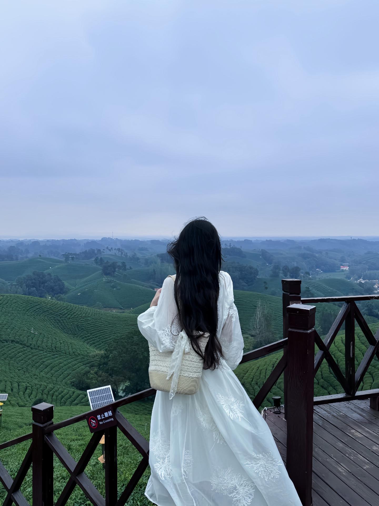 没有永远的梅雨季 只有久违的艳阳天