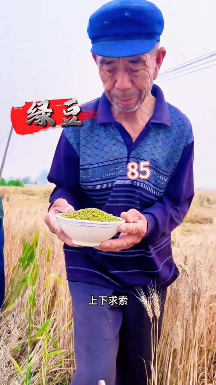 都别动弹。
悠悠岁月，欲说当年好困惑。亦真亦幻难取舍，悲欢离合都曾经有过。这样执