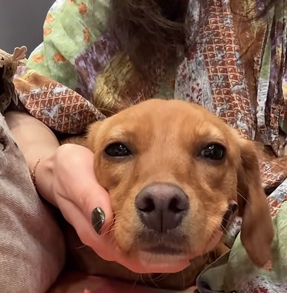 宋茜的宝贝晚上不睡 早上睡不醒 [笑cry][笑cry] 小六要去艺考北电中戏吗