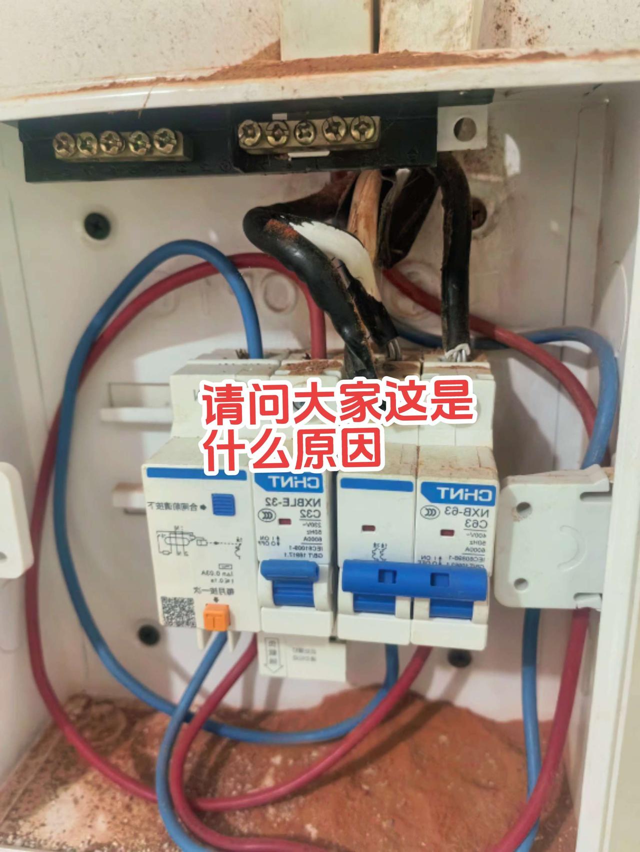 哪位电工师傅知道这是什么原因！电路维修 电工 电工知识 零基础学电工
